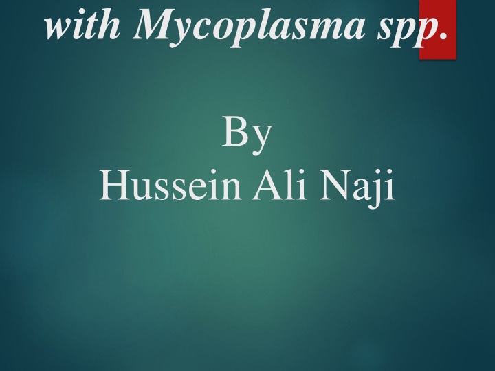 with mycoplasma spp