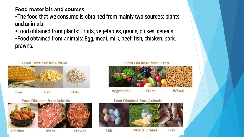 food materials and sources the food that