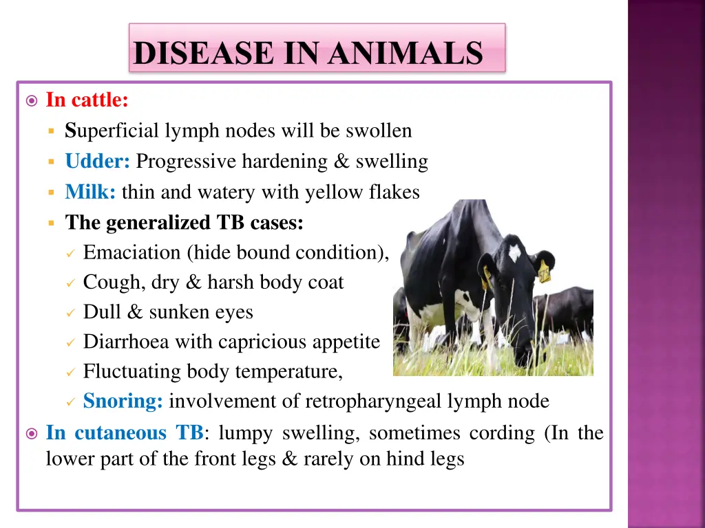 disease in animals