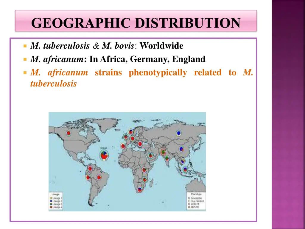 geographic distribution