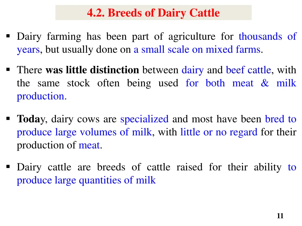 4 2 breeds of dairy cattle