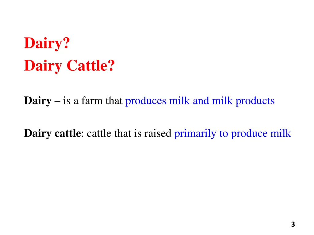 dairy dairy cattle