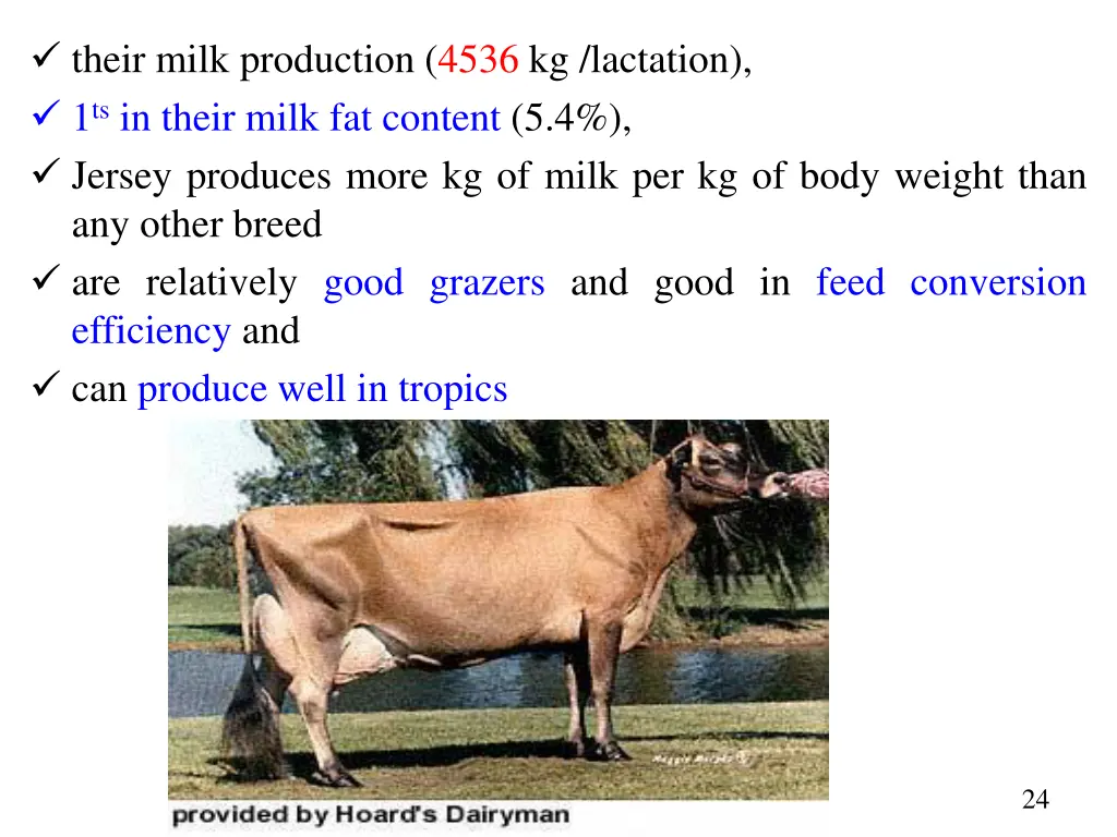 their milk production 4536 kg lactation