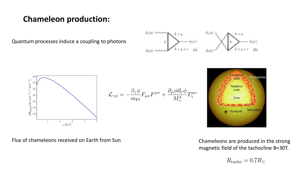 chameleon production