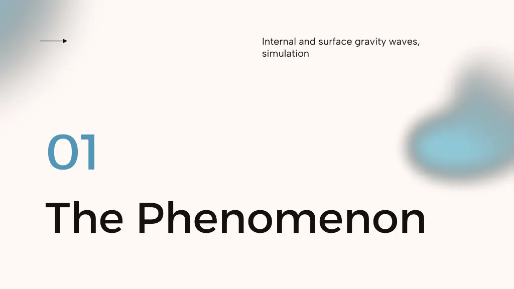 internal and surface gravity waves simulation