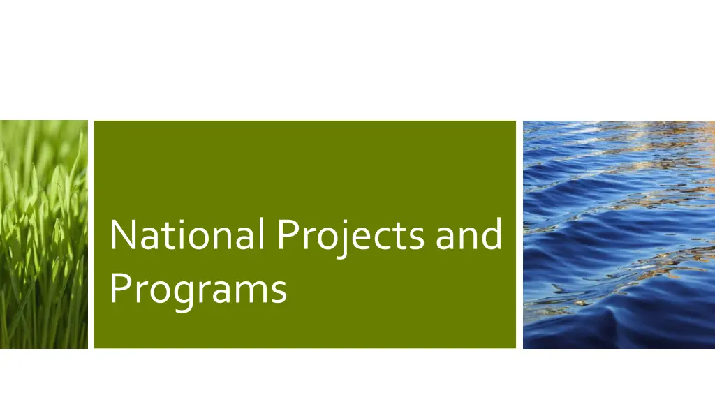 national projects and programs