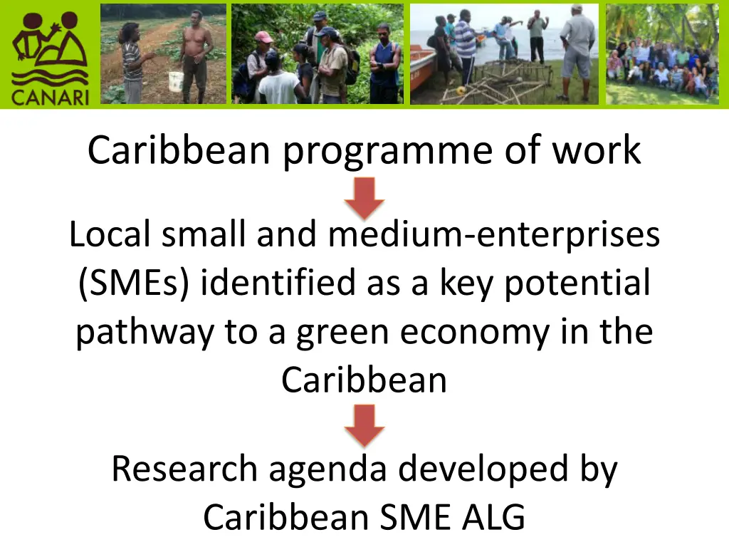 caribbean programme of work