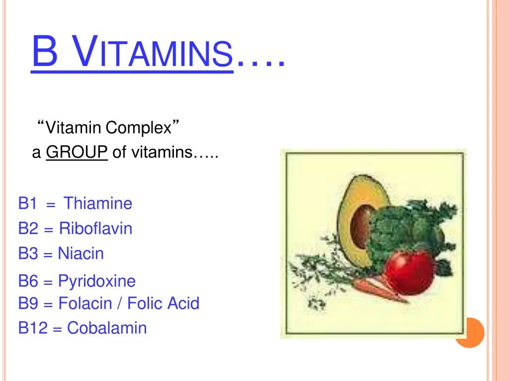 b v itamins