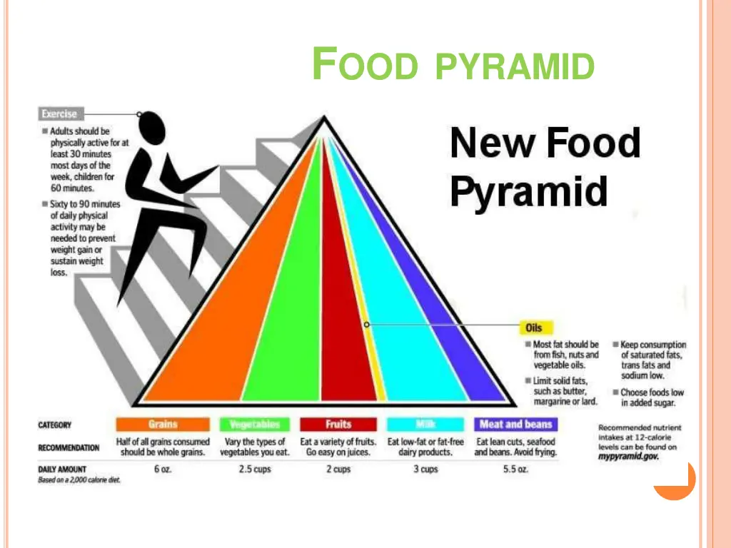 f ood pyramid