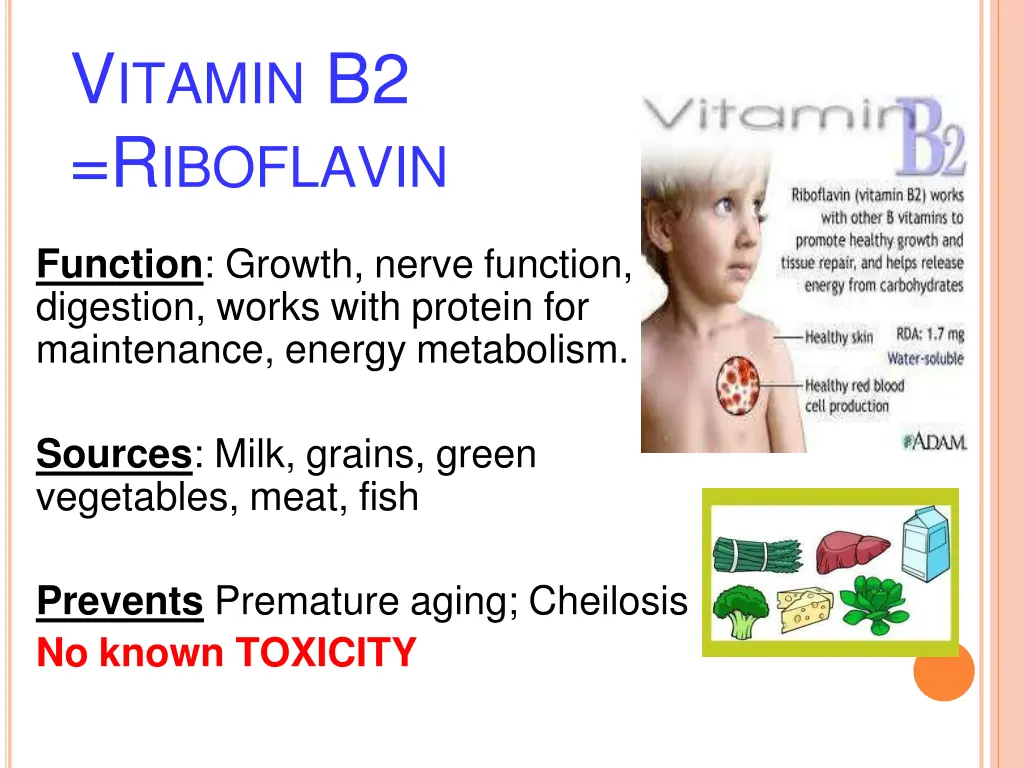 v itamin b2 r iboflavin