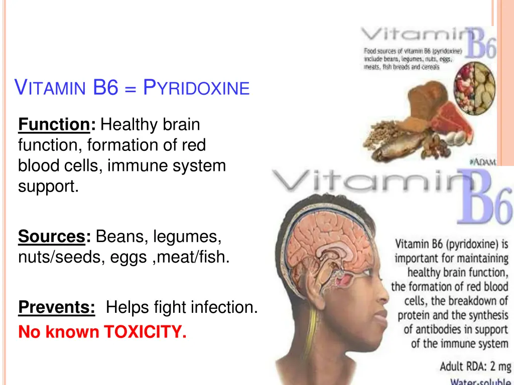 v itamin b6 p yridoxine