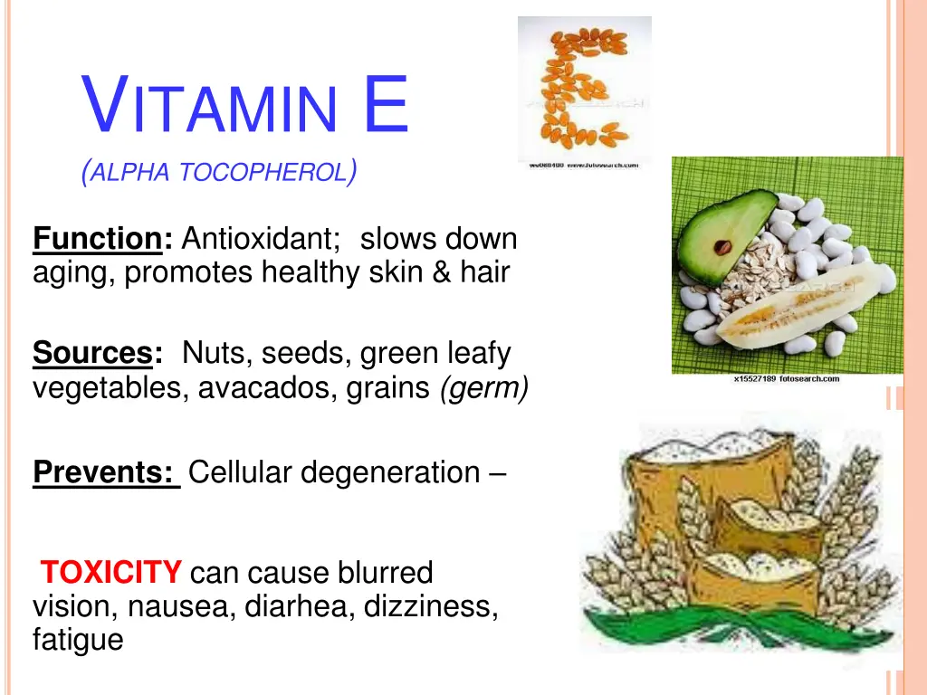 v itamin e alpha tocopherol