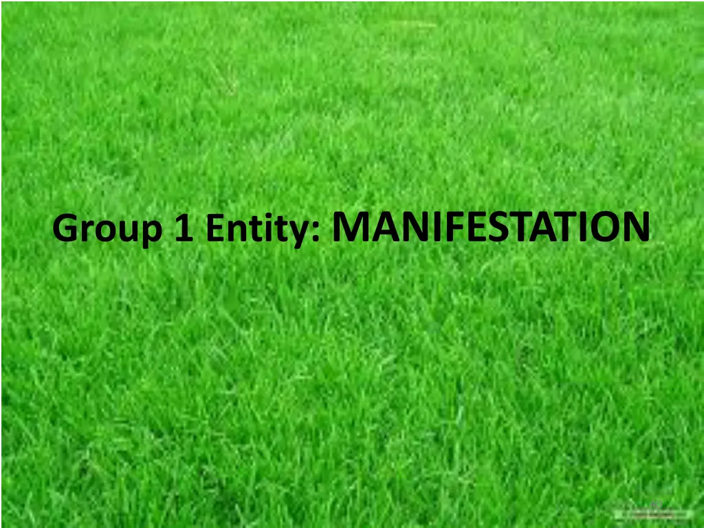 group 1 entity manifestation