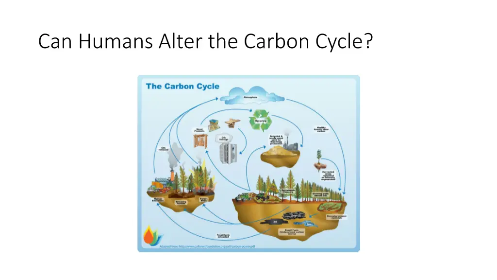 can humans alter the carbon cycle