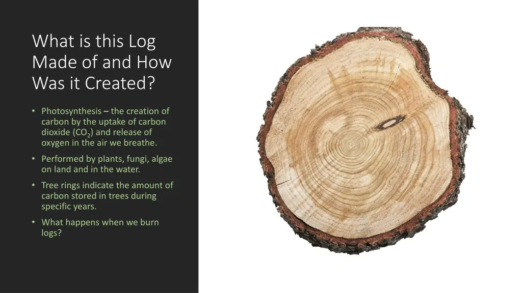 what is this log made of and how was it created