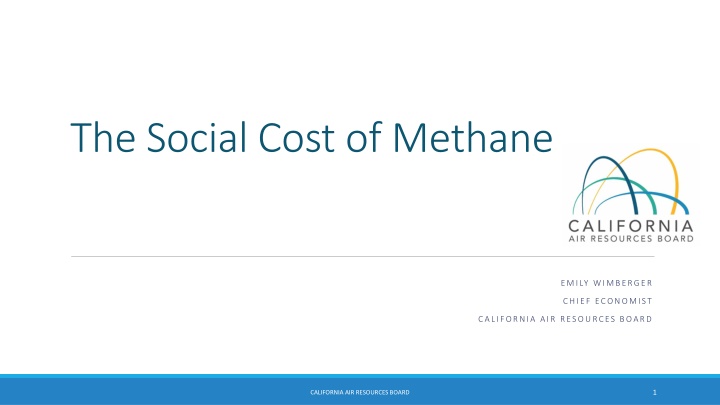 the social cost of methane