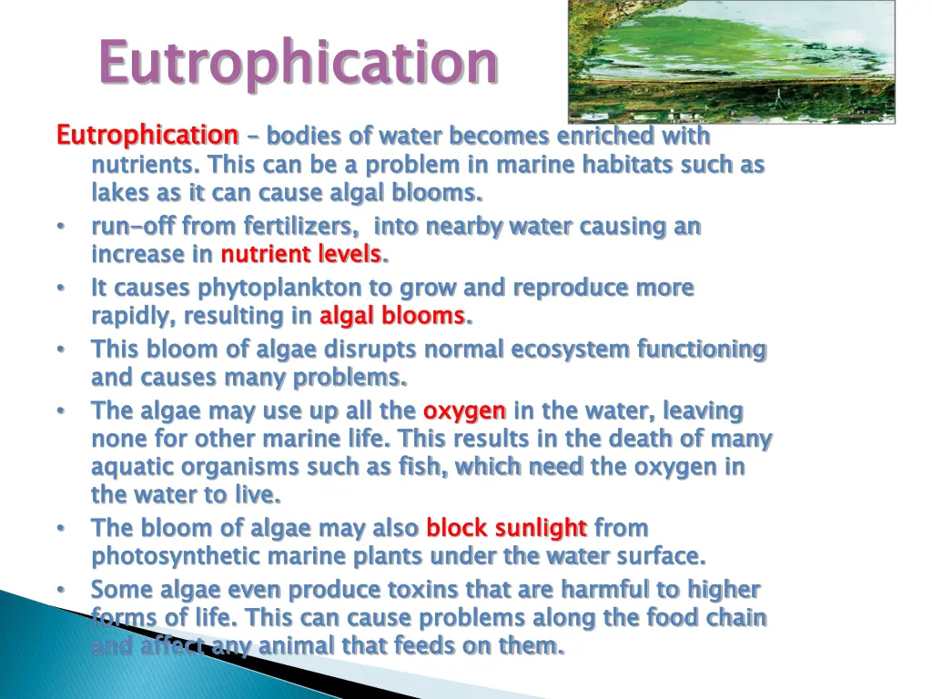 eutrophication eutrophication nutrients this