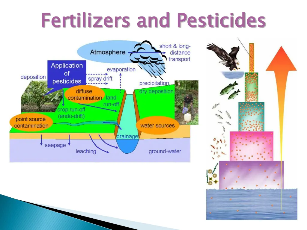 fertilizers and pesticides