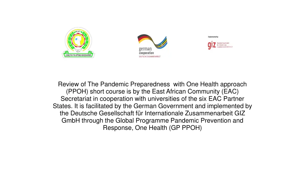 review of the pandemic preparedness with