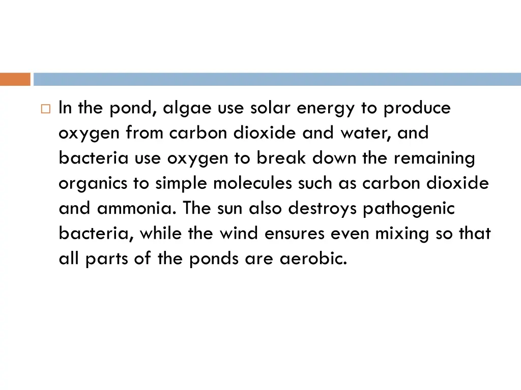 in the pond algae use solar energy to produce