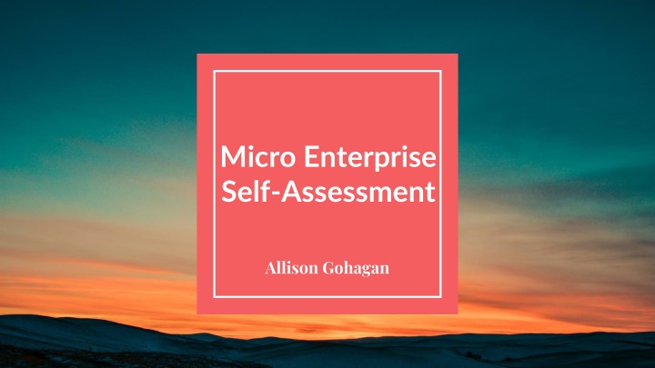 micro enterprise self assessment