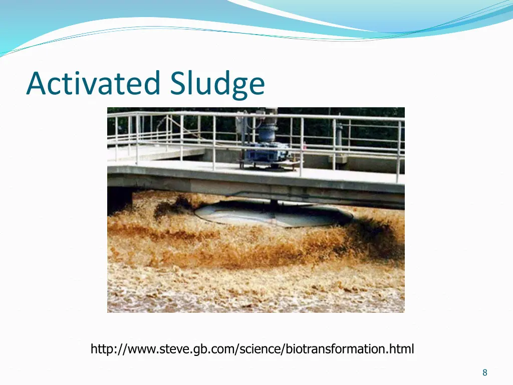 activated sludge