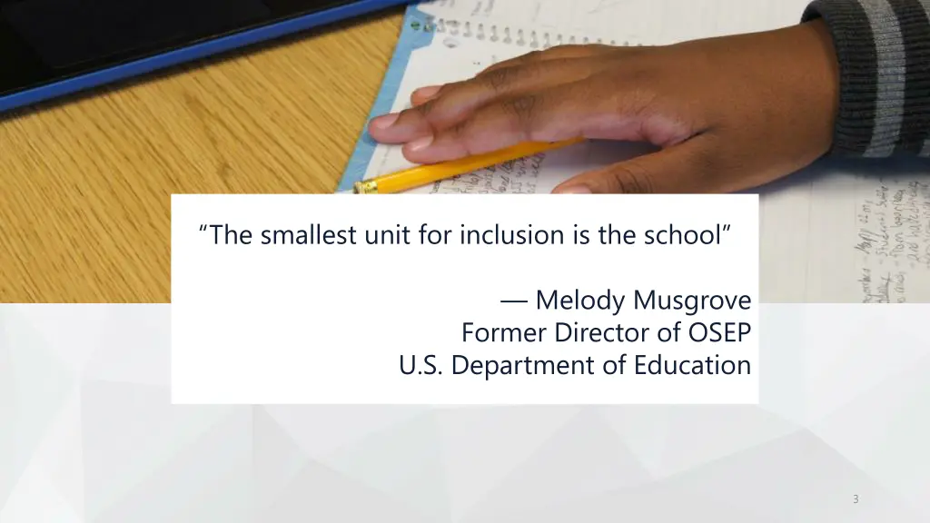 the smallest unit for inclusion is the school