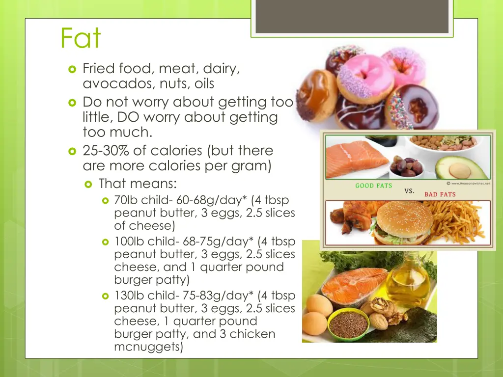 fat fried food meat dairy avocados nuts oils