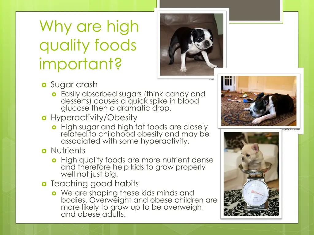 why are high quality foods important