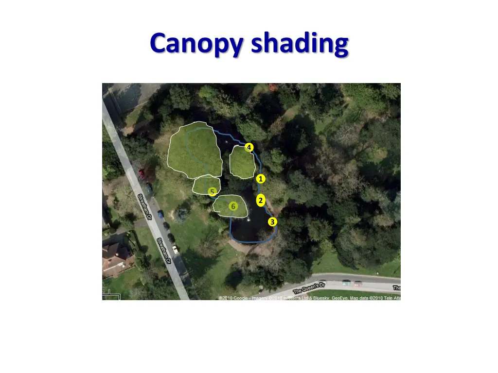 canopy shading