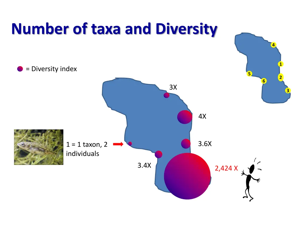 number of taxa and diversity