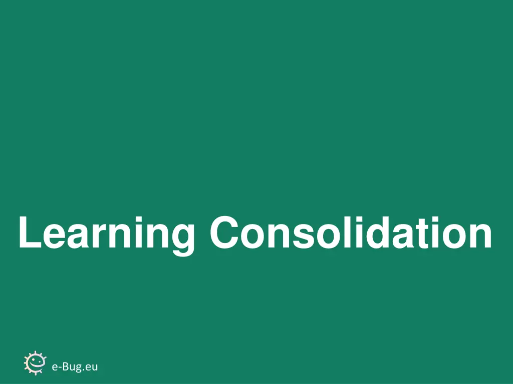 learning consolidation