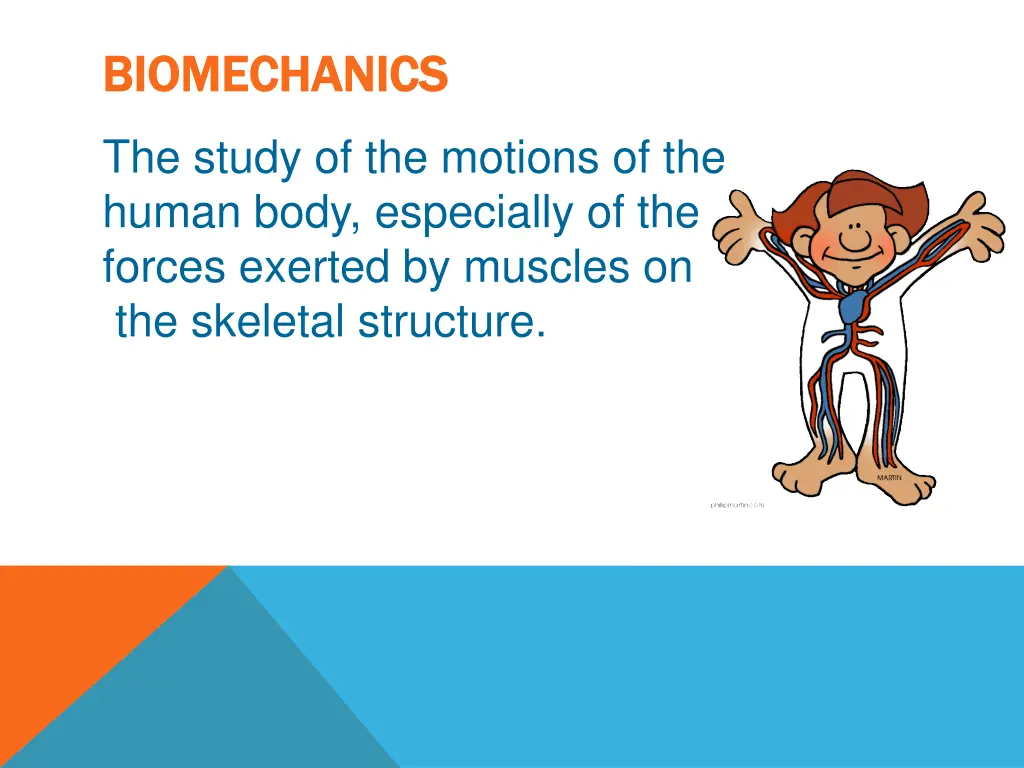 biomechanics biomechanics