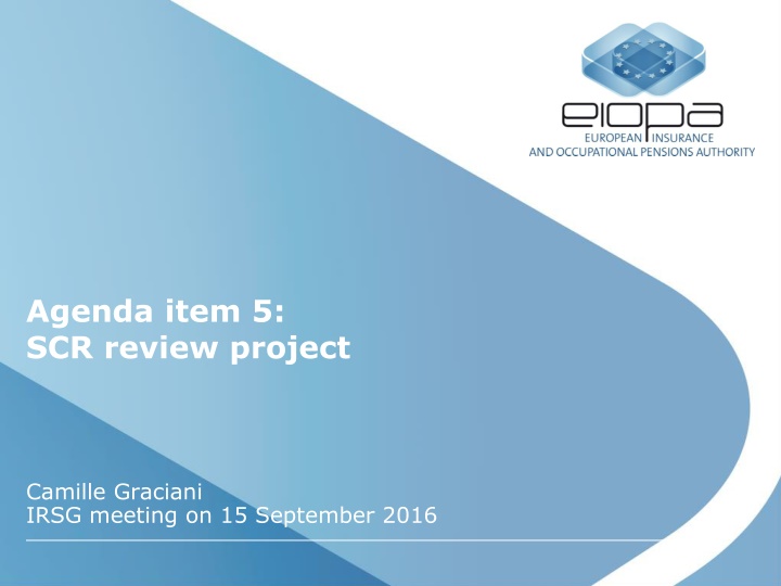 agenda item 5 scr review project