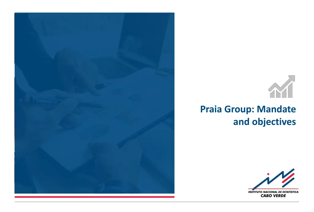 praia group mandate and objectives