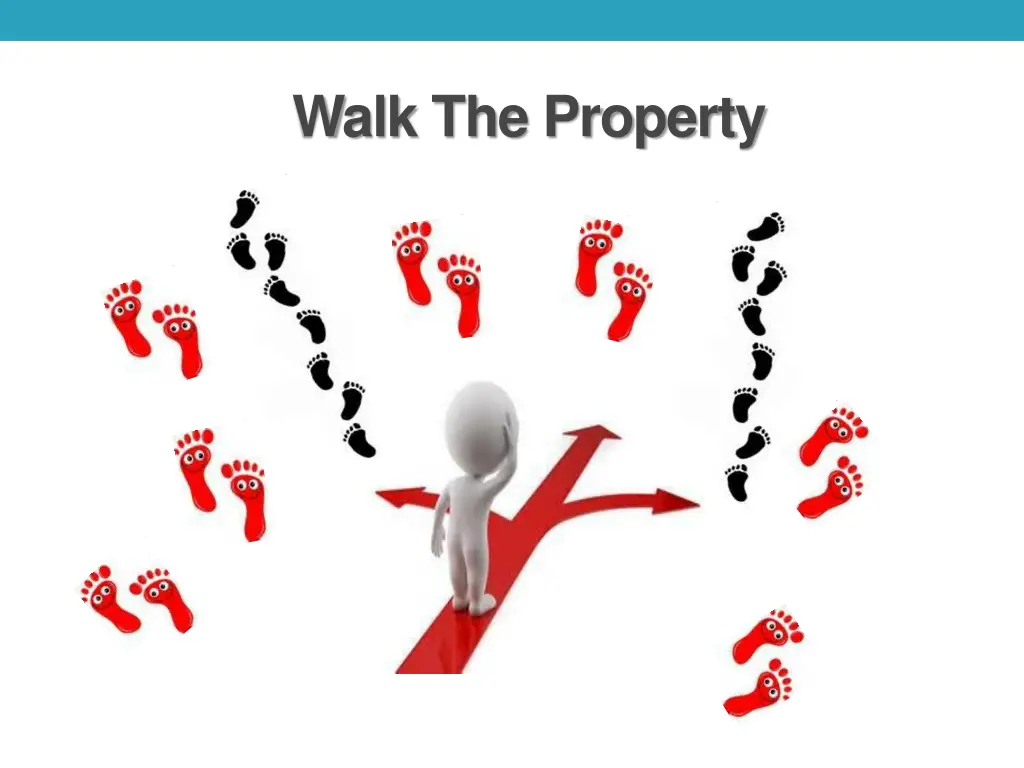 walk the property