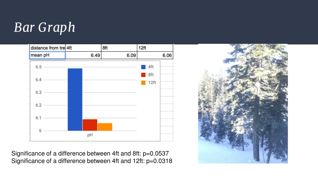 bar graph