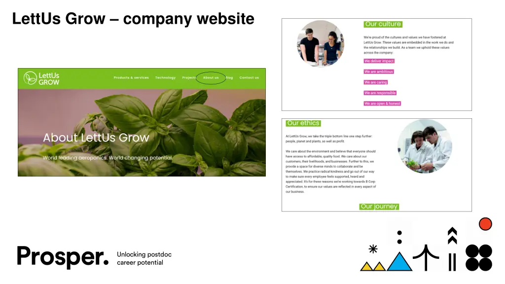 lettus grow company website