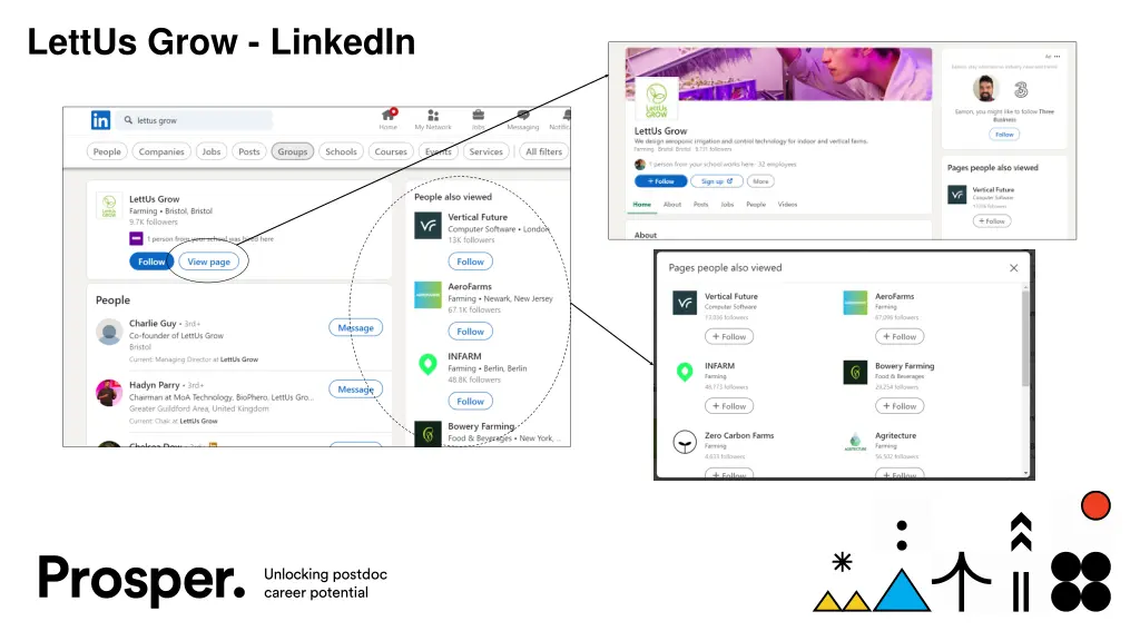 lettus grow linkedin