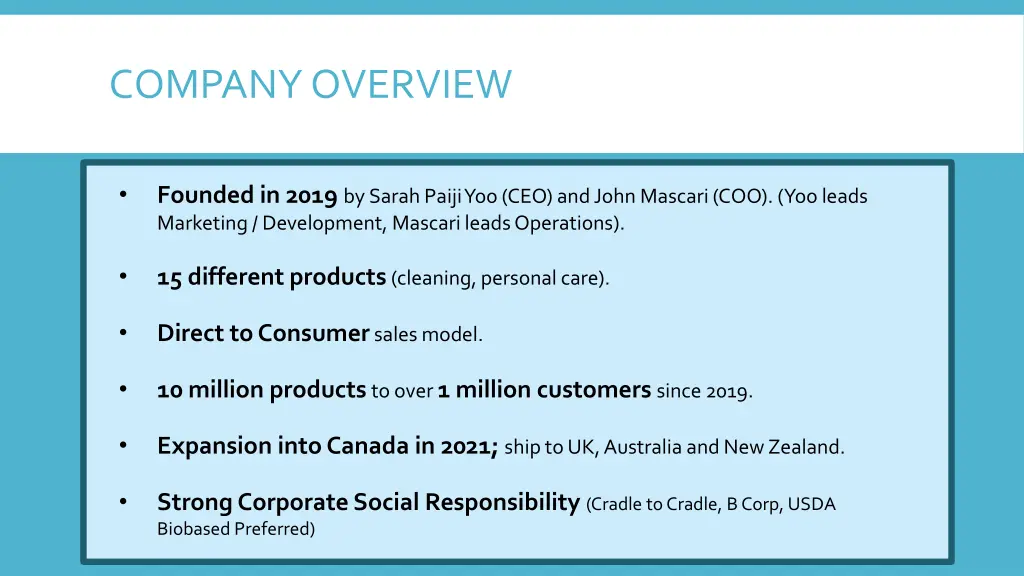 company overview