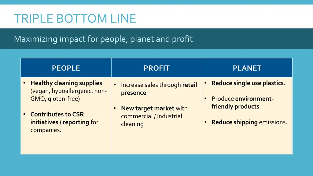 triple bottom line