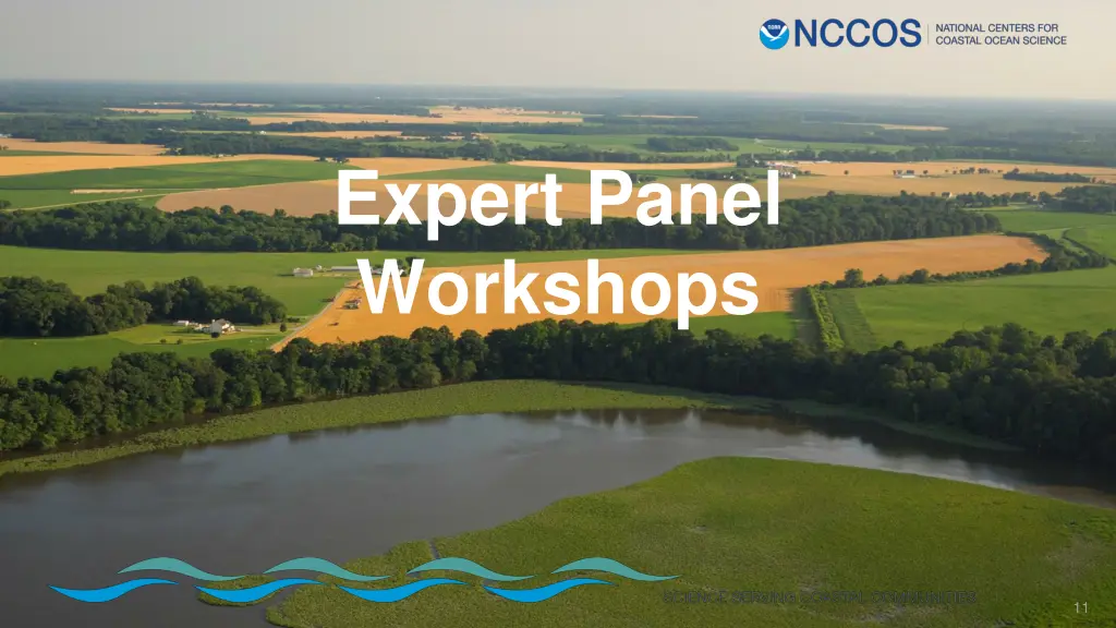 expert panel workshops