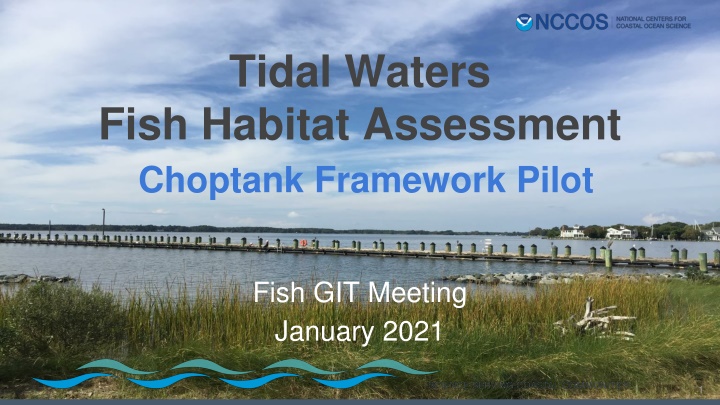 tidal waters fish habitat assessment choptank