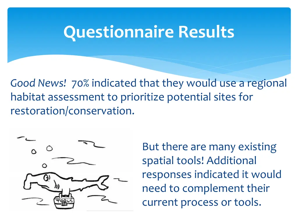 questionnaire results 1