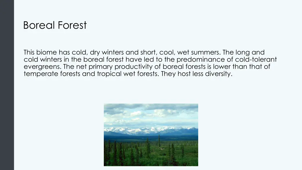 boreal forest