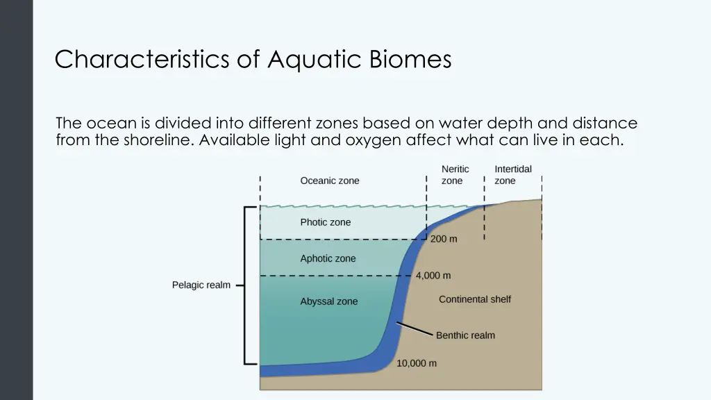 characteristics of aquatic biomes