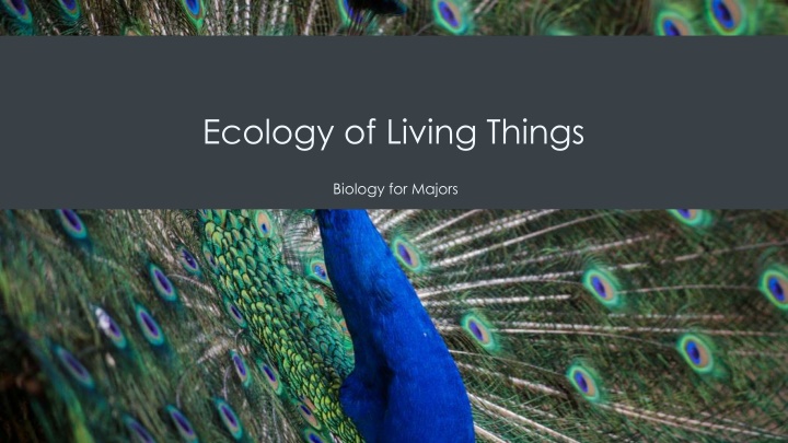 ecology of living things