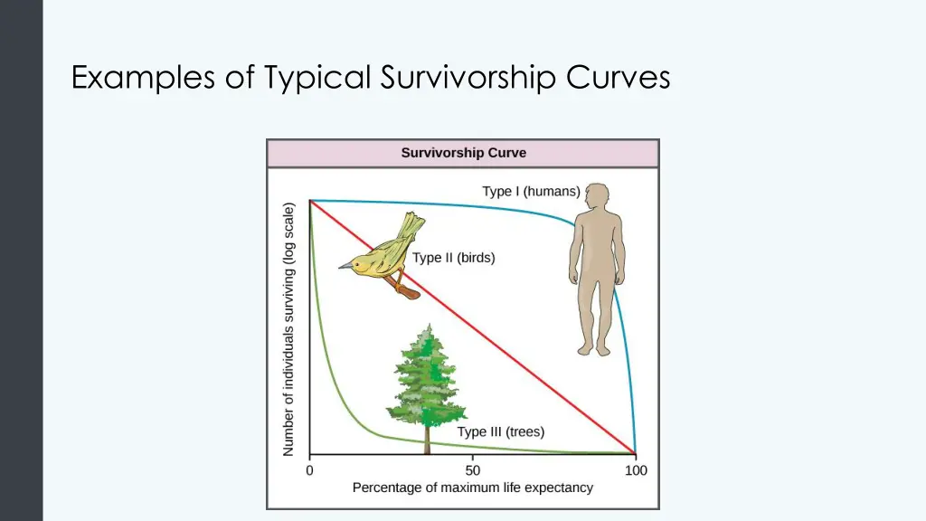 examples of typical survivorship curves