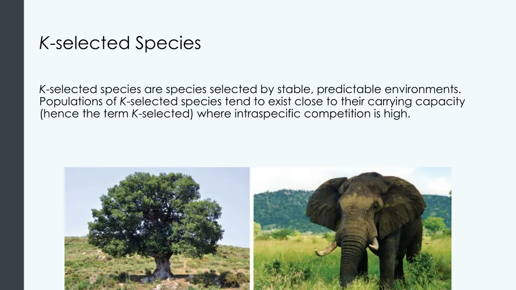 k selected species