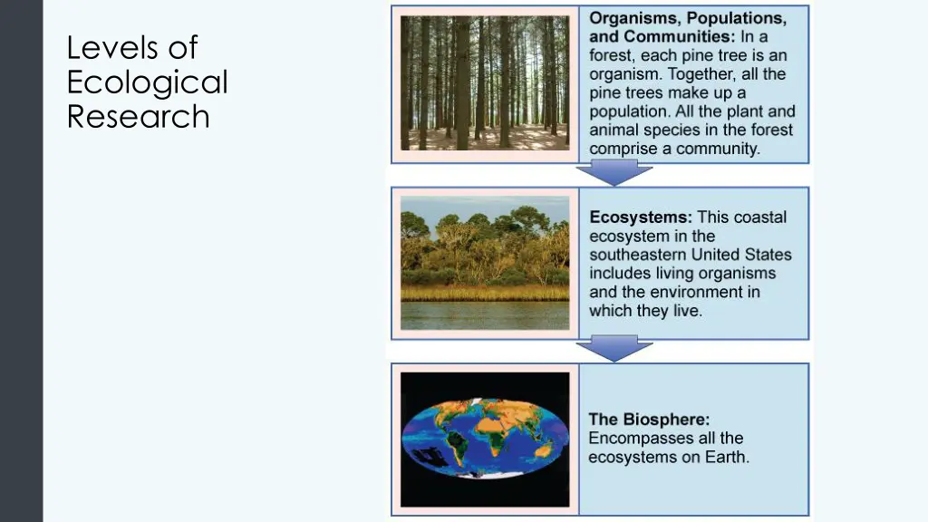 levels of ecological research